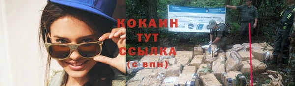 метамфетамин Ельня