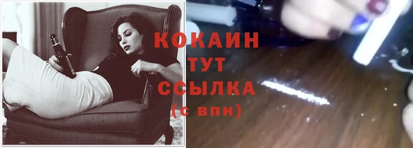 метамфетамин Ельня