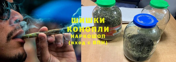 шишки Бронницы