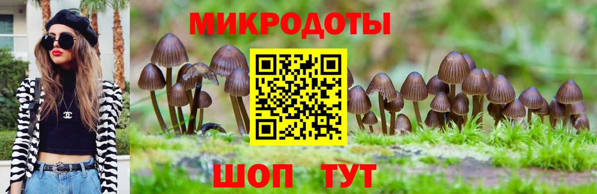 Галлюциногенные грибы мицелий  Вход с VPN  Псилоцибиновые грибы Magic Shrooms  Зима 