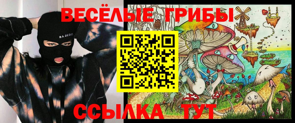Галлюциногенные грибы мухоморы Зима