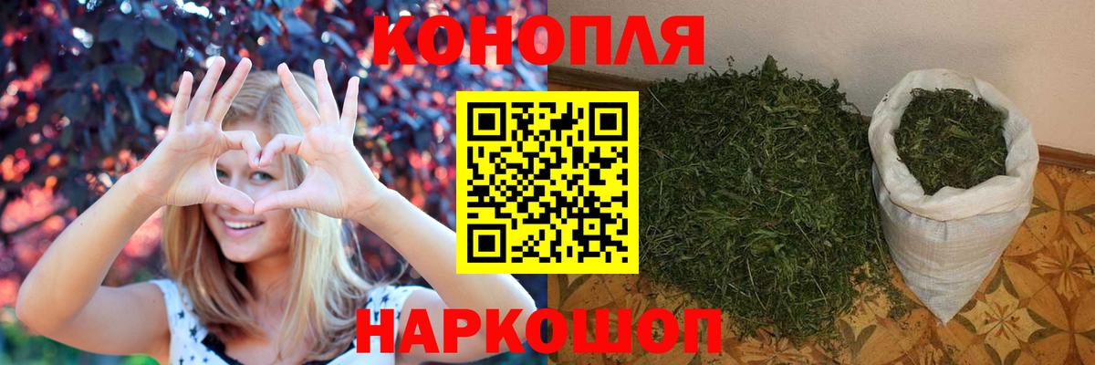 Зима  Канабис планчик  Марихуана конопля  Вход с VPN  Канабис OG Kush  Бошки Шишки сатива 